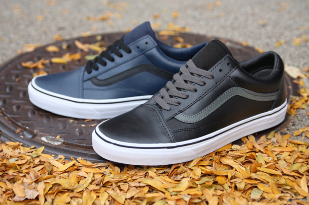 two color vans